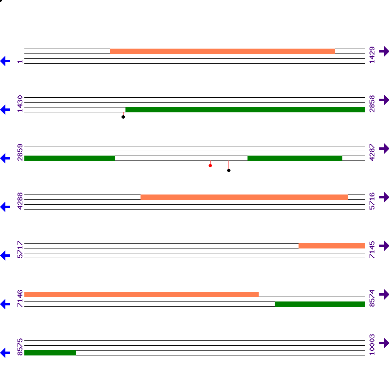 Genome View