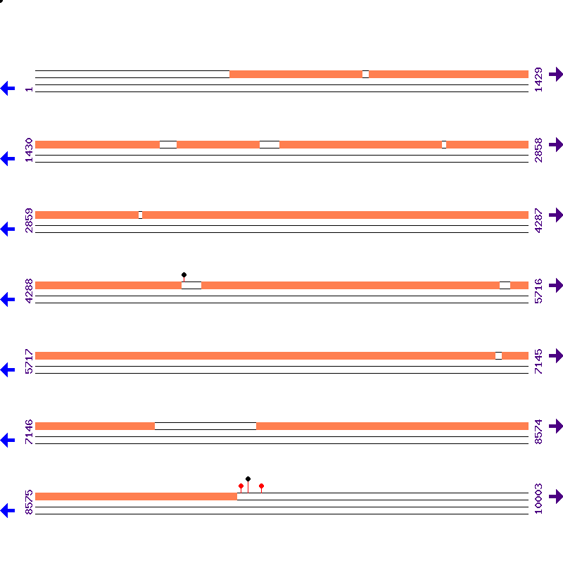 Genome View