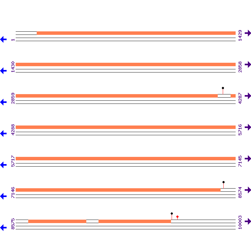 Genome View