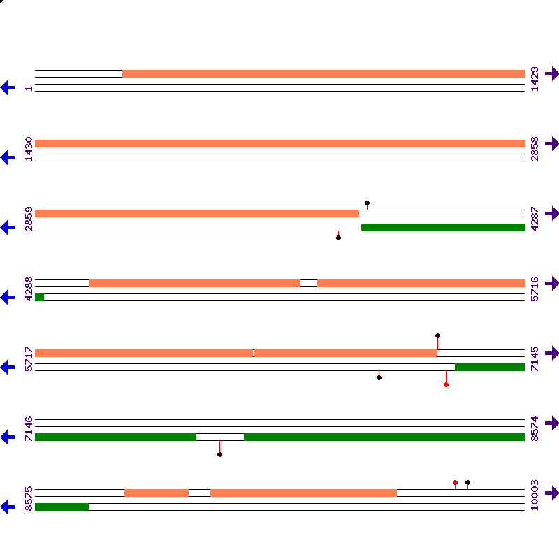 Genome View