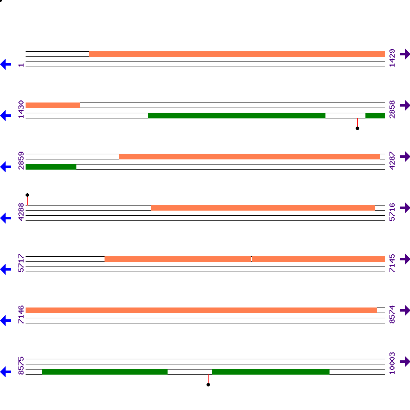 Genome View