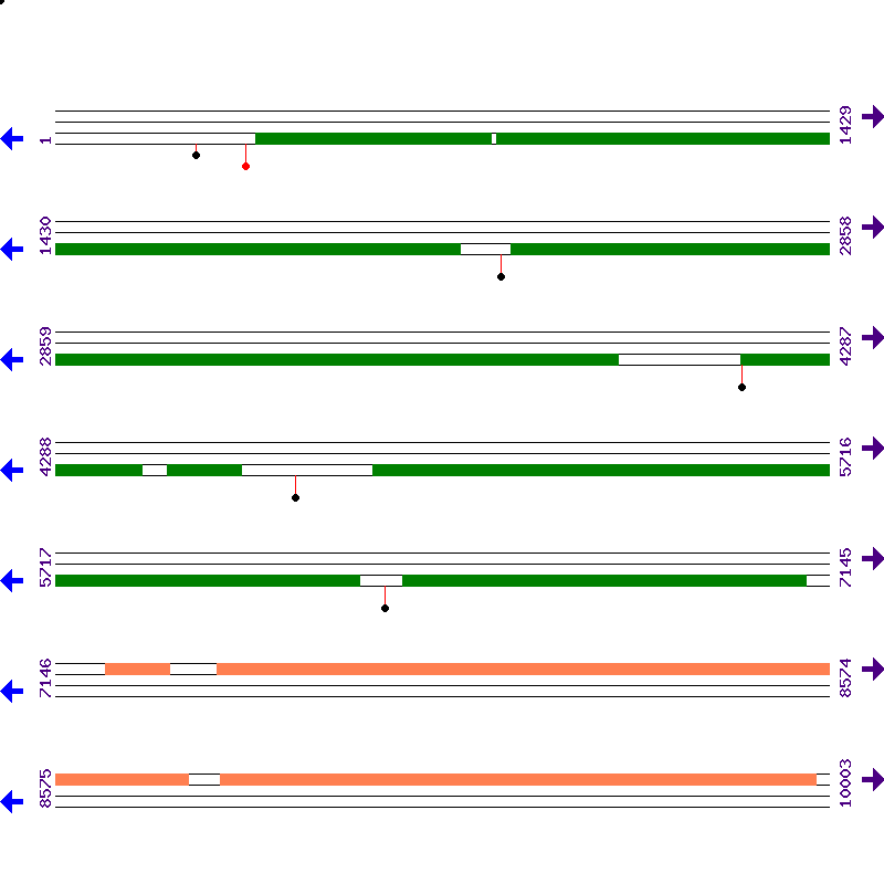 Genome View