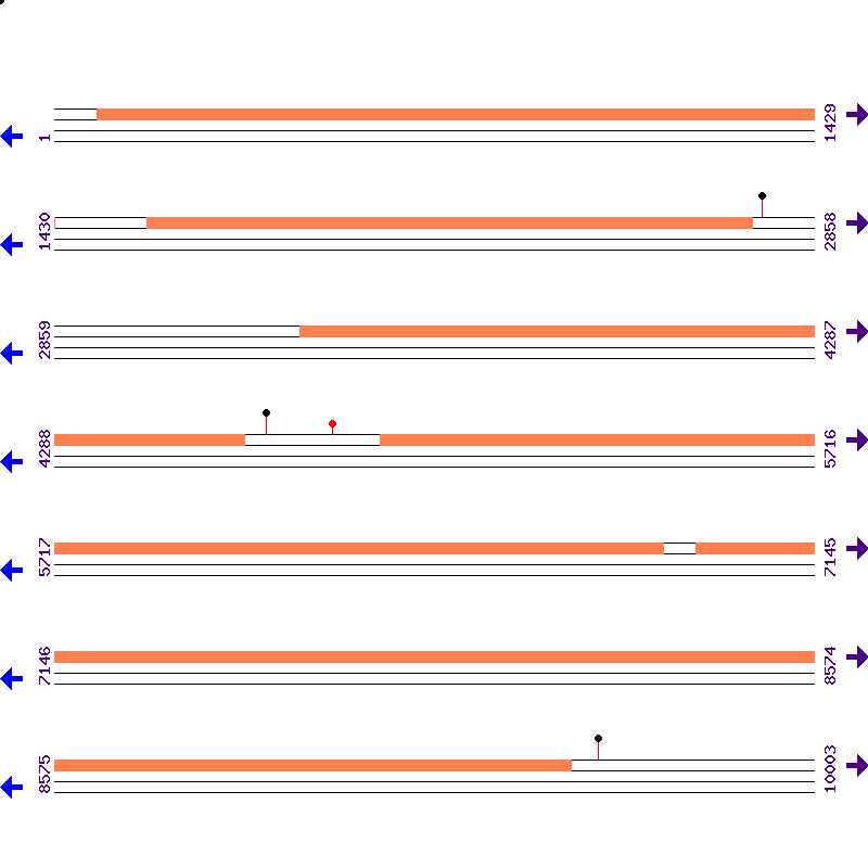 Genome View