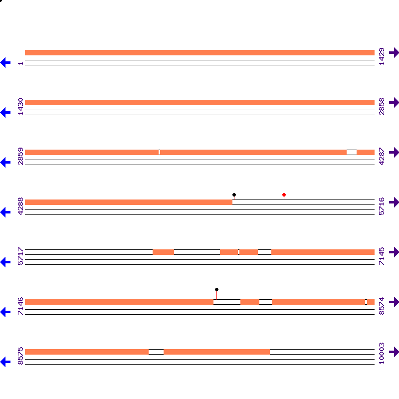 Genome View
