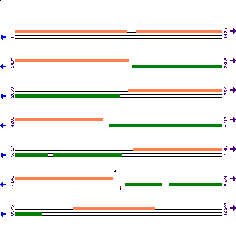Genome View