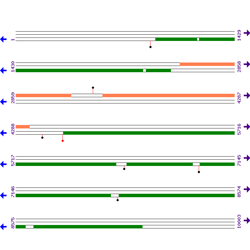Genome View