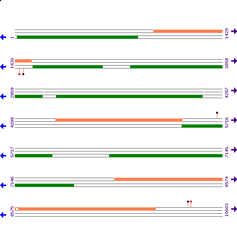 Genome View