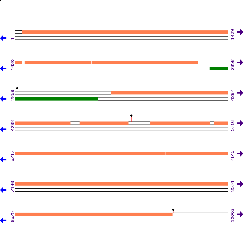 Genome View