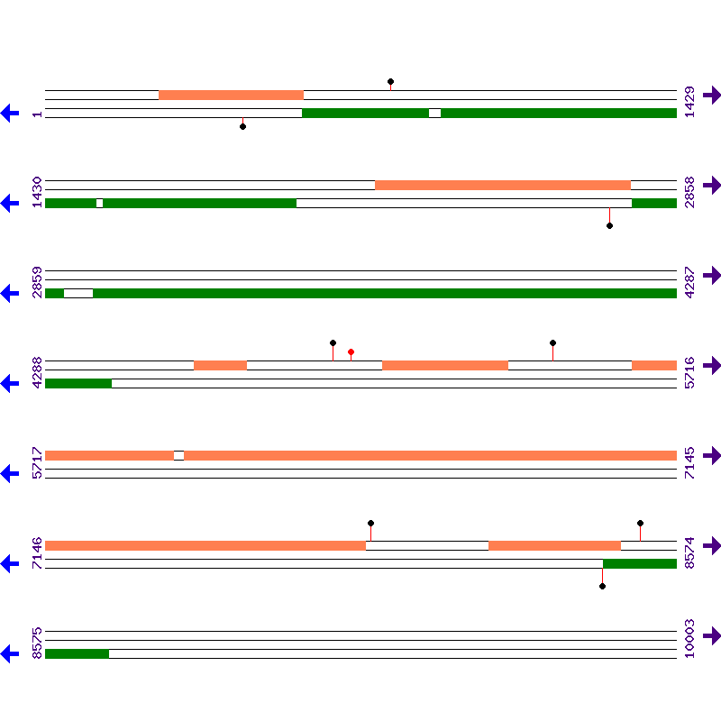 Genome View