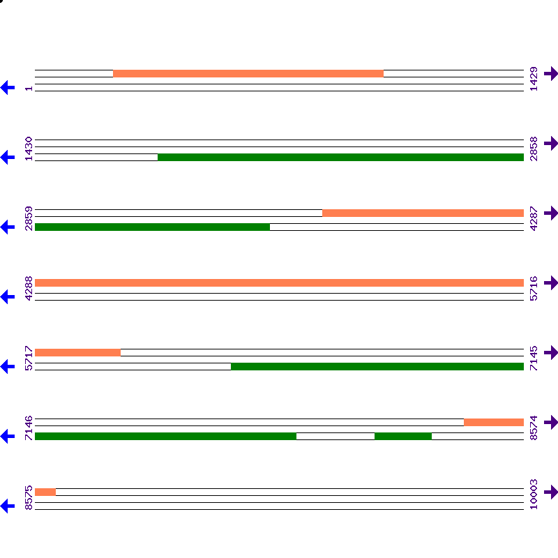 Genome View