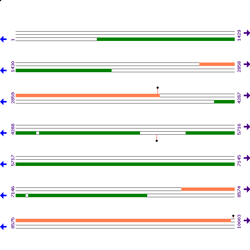 Genome View