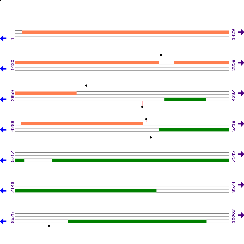 Genome View