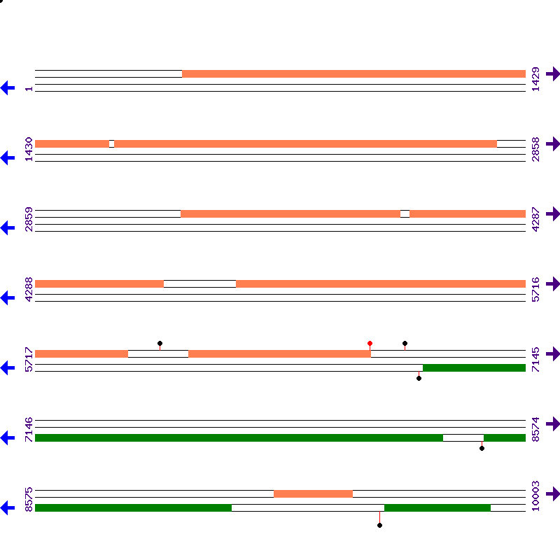 Genome View