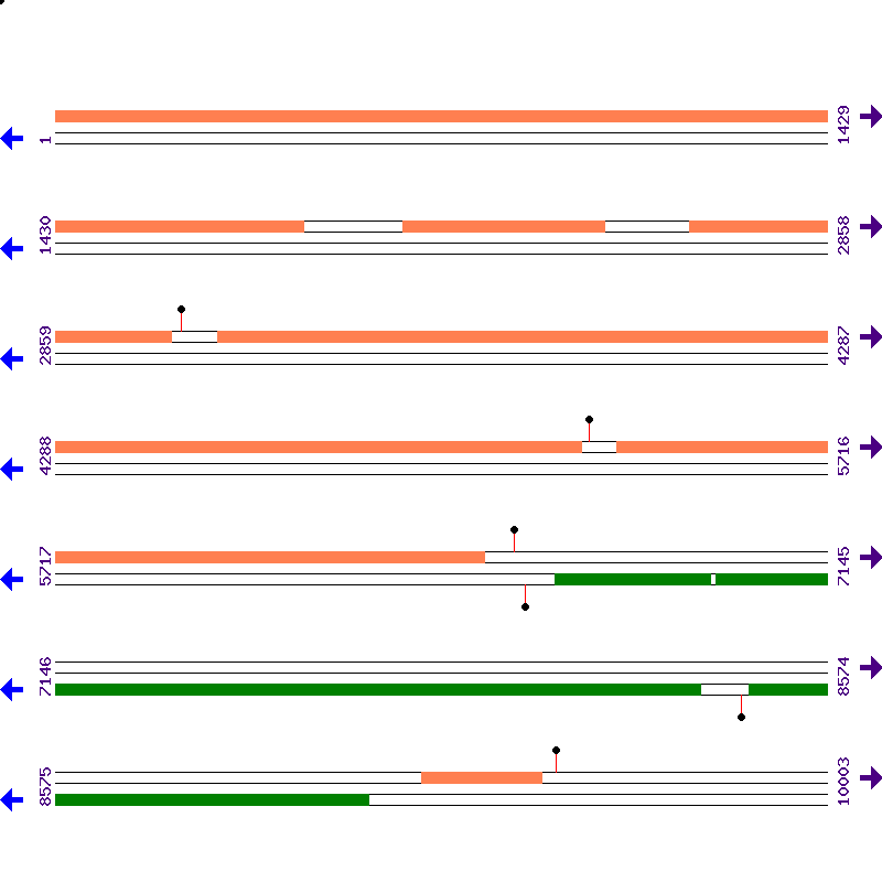Genome View