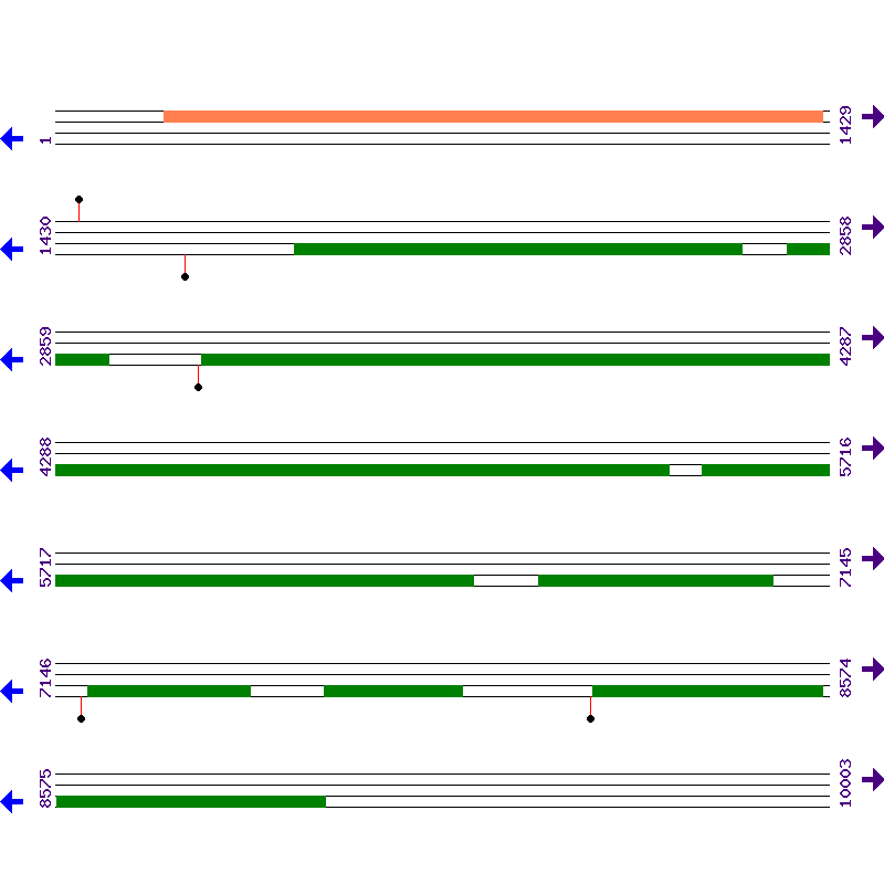 Genome View