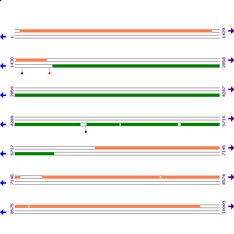 Genome View