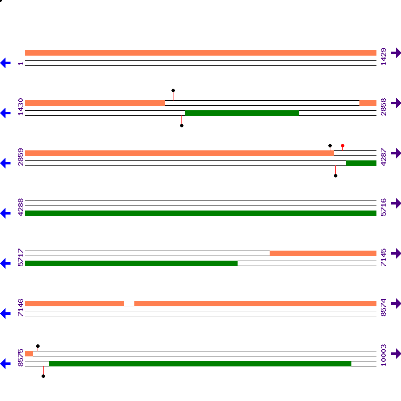 Genome View