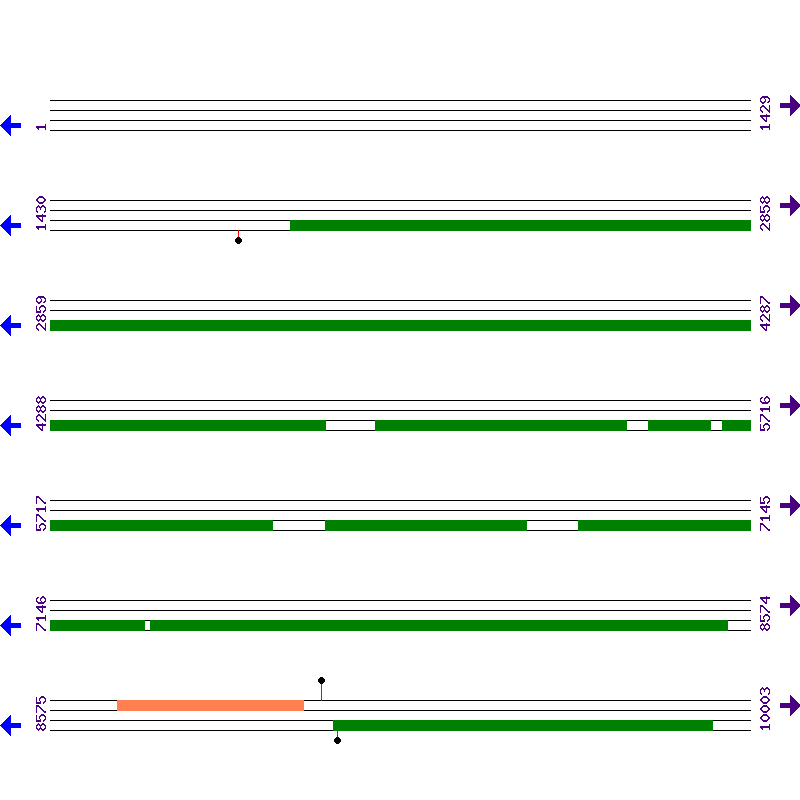 Genome View