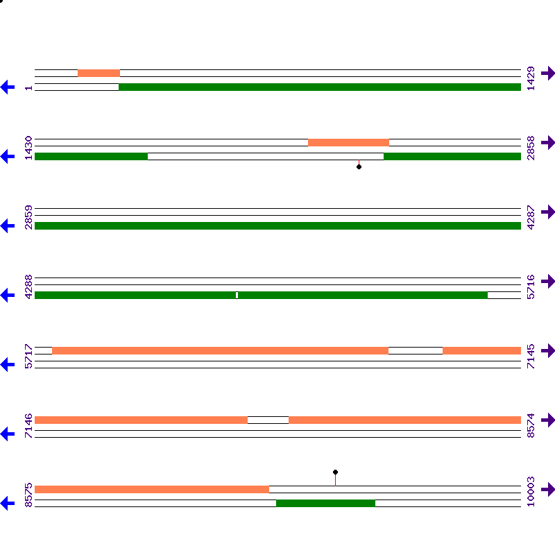 Genome View