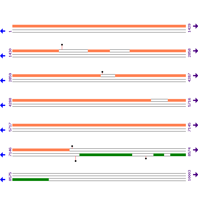 Genome View