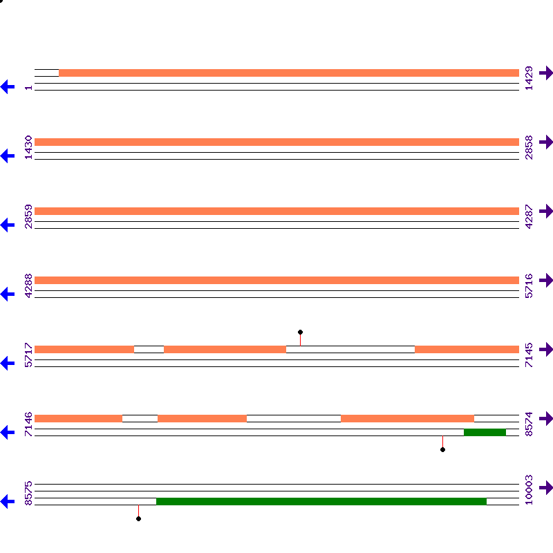 Genome View