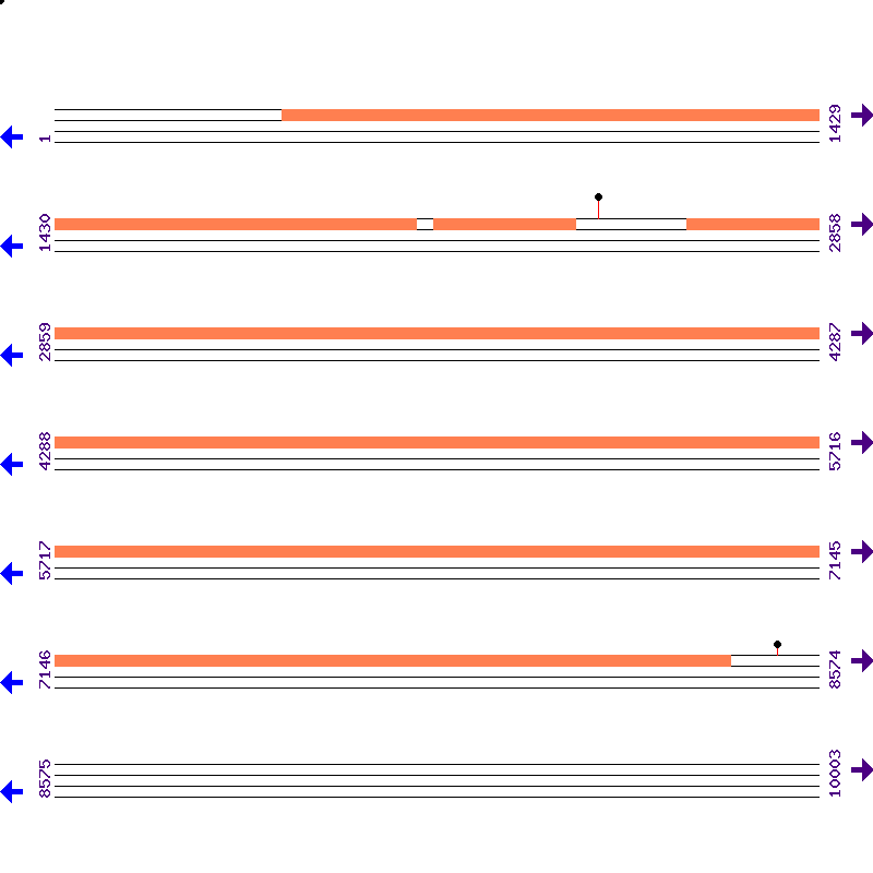 Genome View