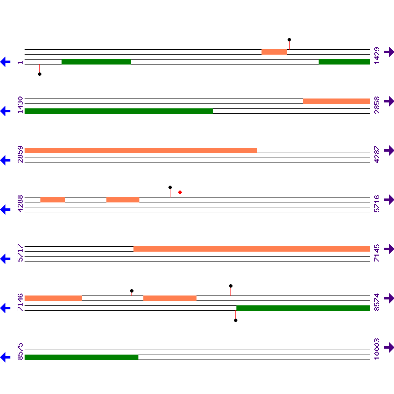 Genome View