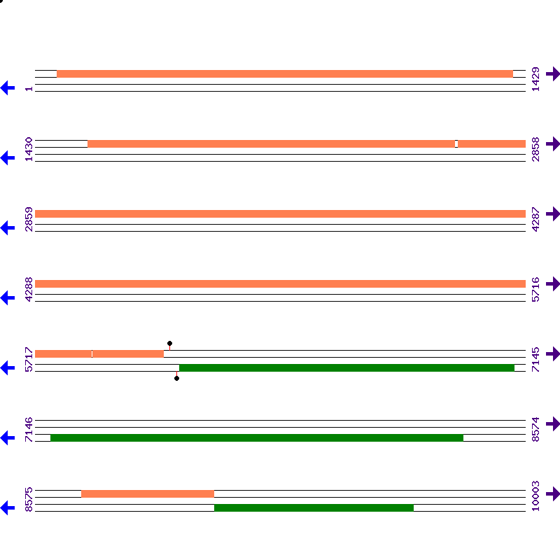 Genome View