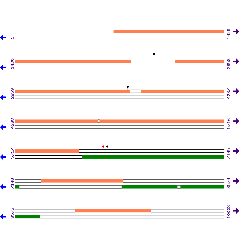 Genome View