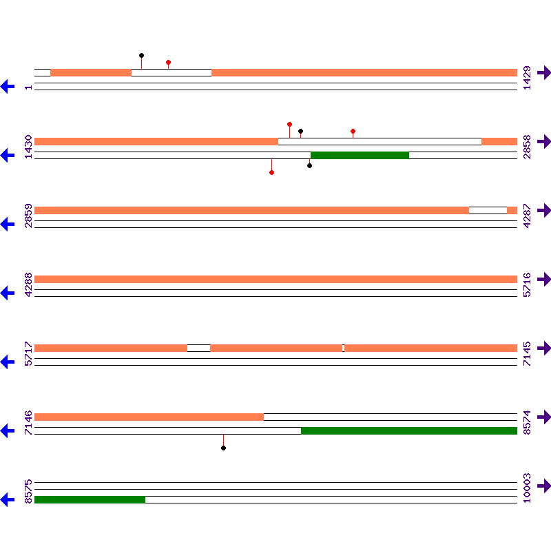 Genome View
