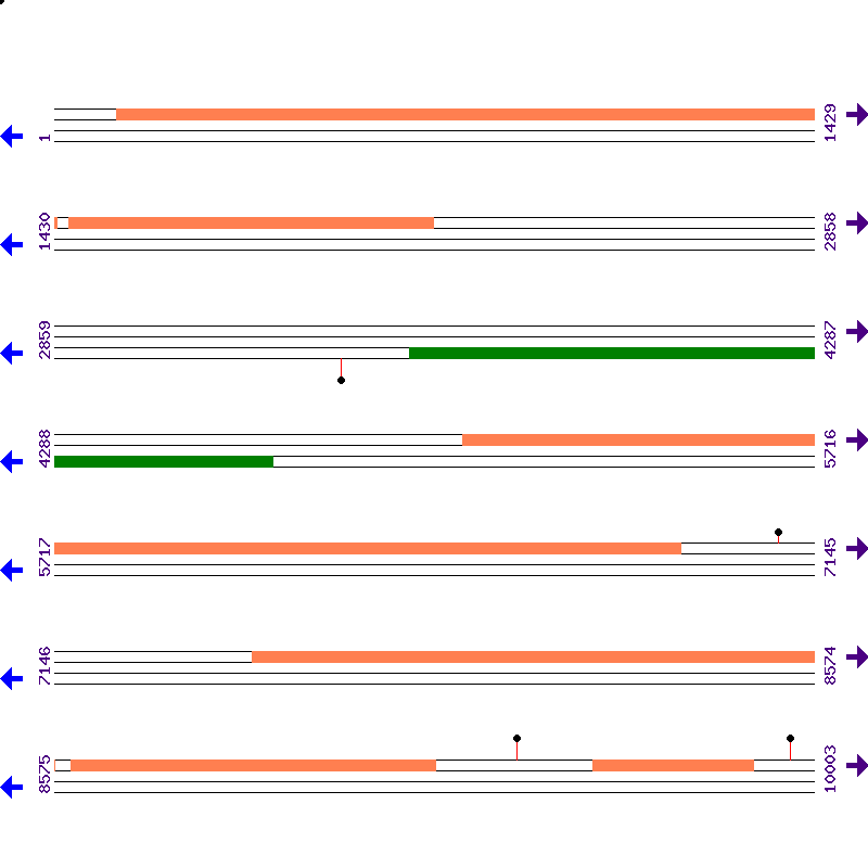 Genome View