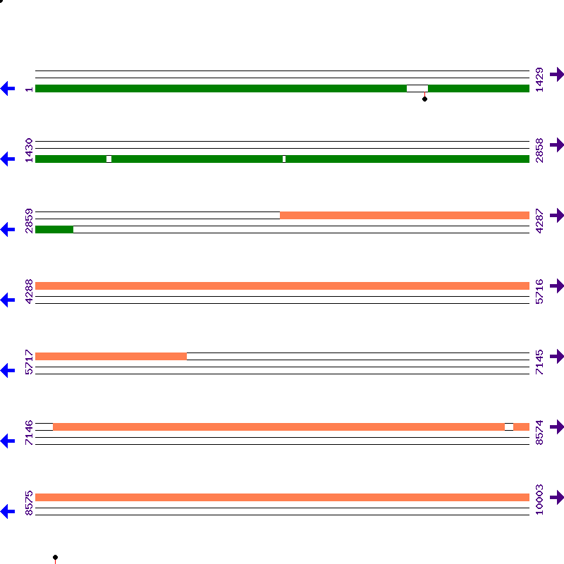 Genome View