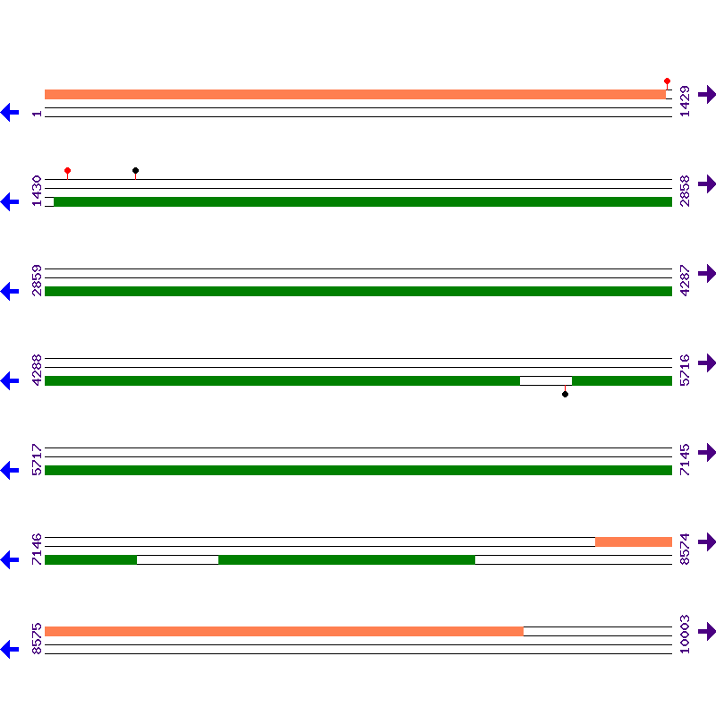 Genome View