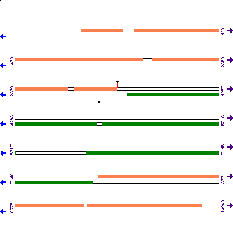 Genome View