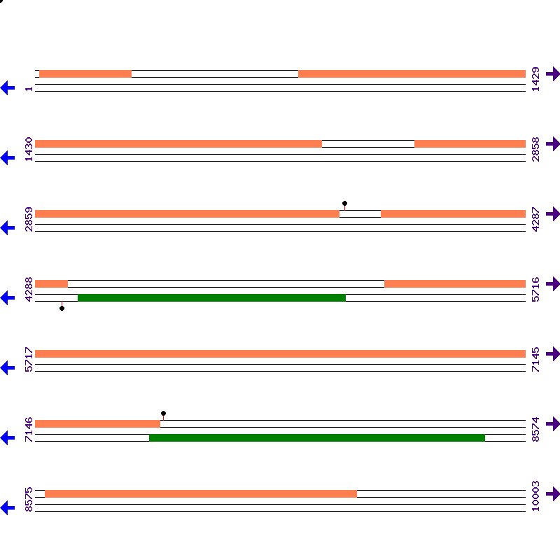 Genome View
