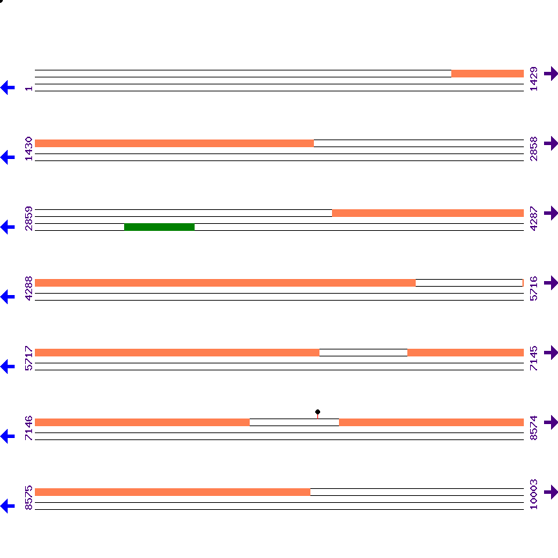 Genome View