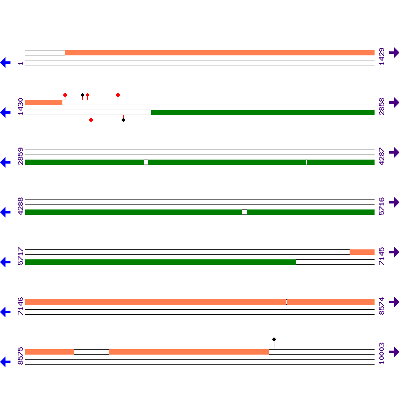 Genome View