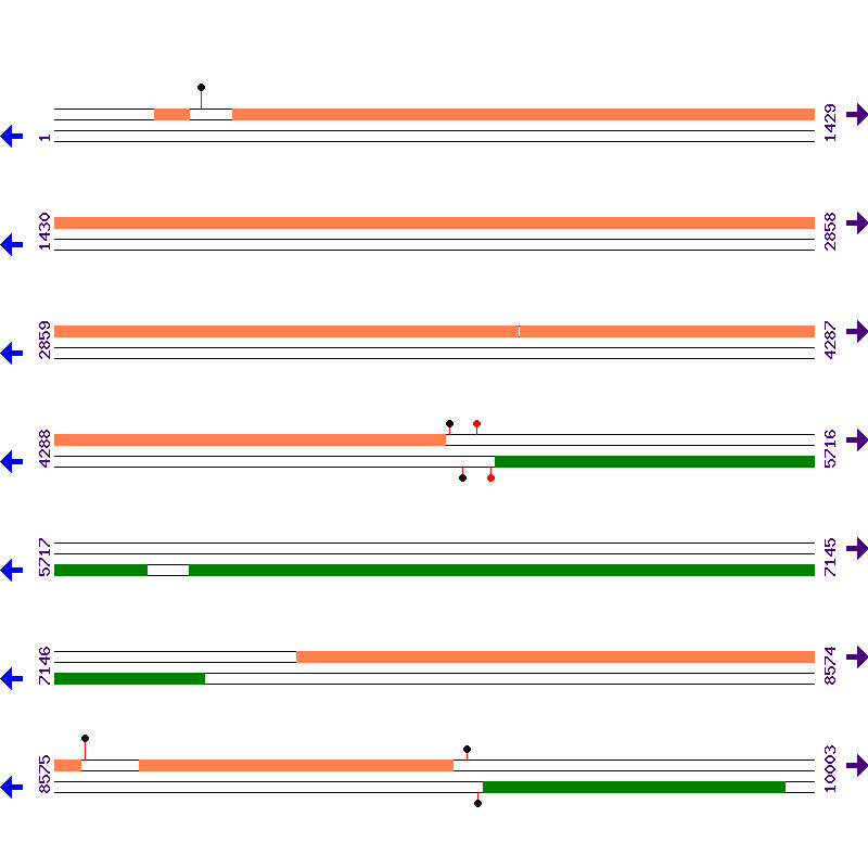 Genome View