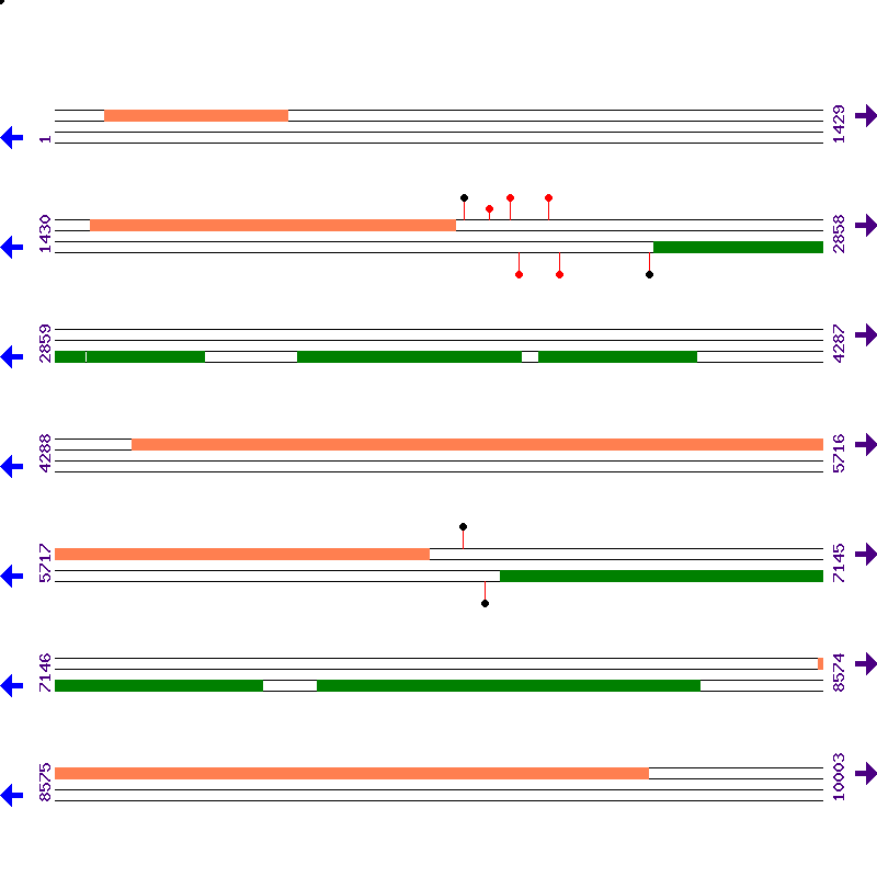 Genome View
