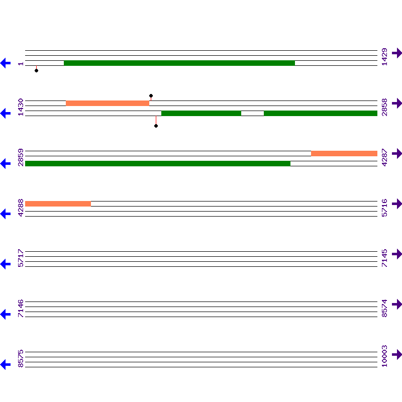 Genome View