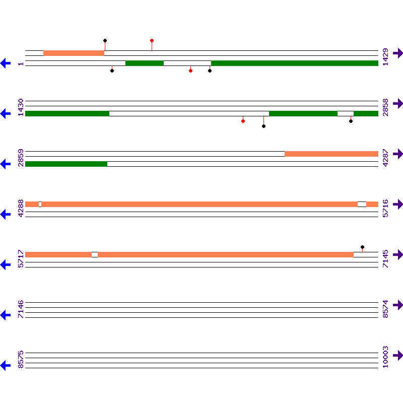 Genome View