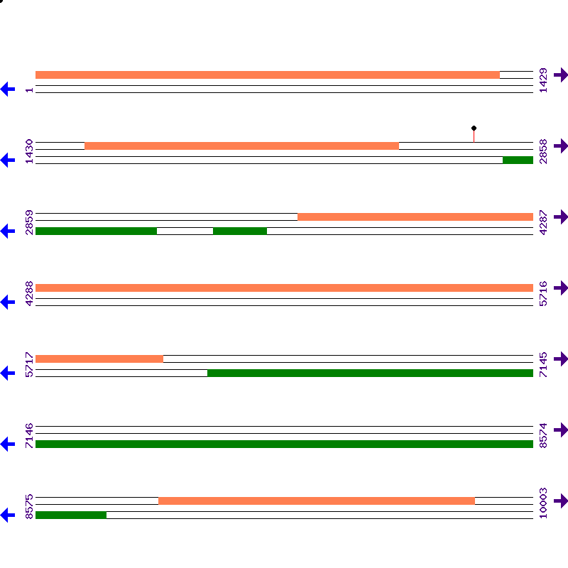 Genome View