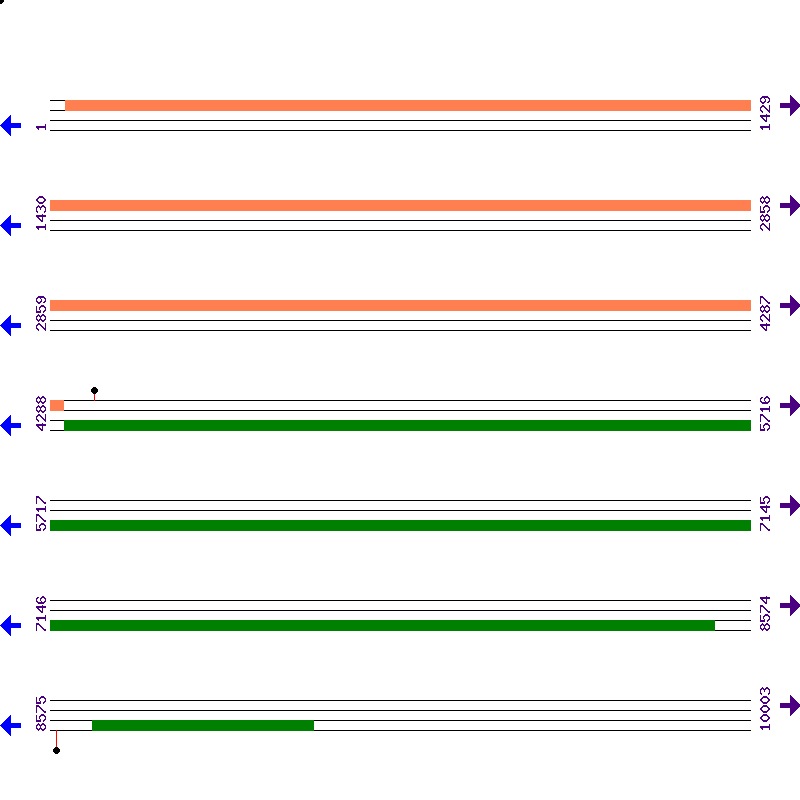 Genome View