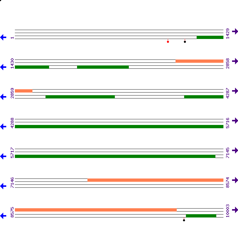 Genome View
