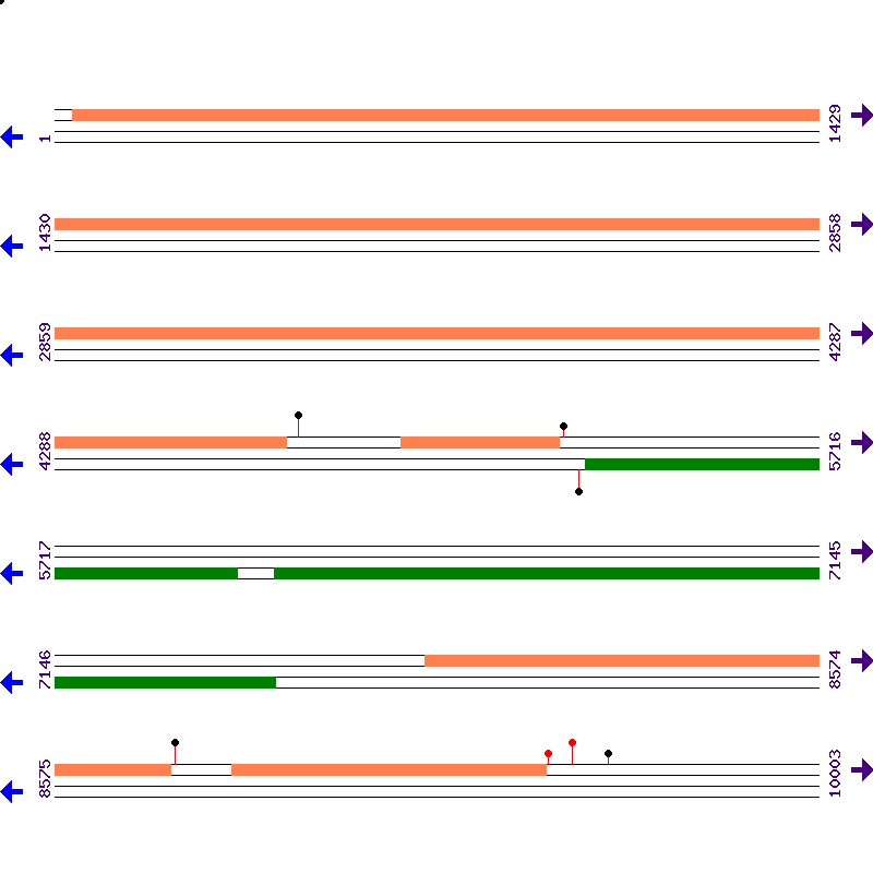 Genome View