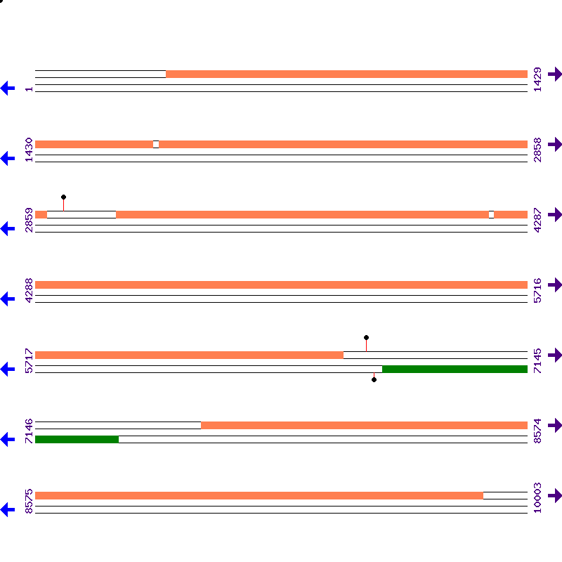 Genome View