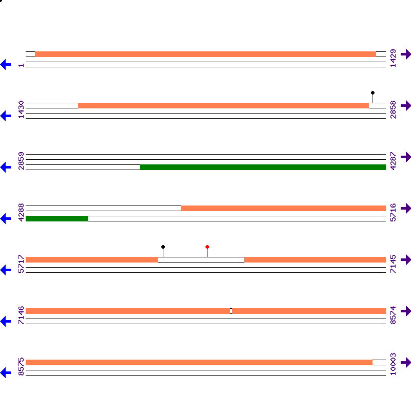 Genome View