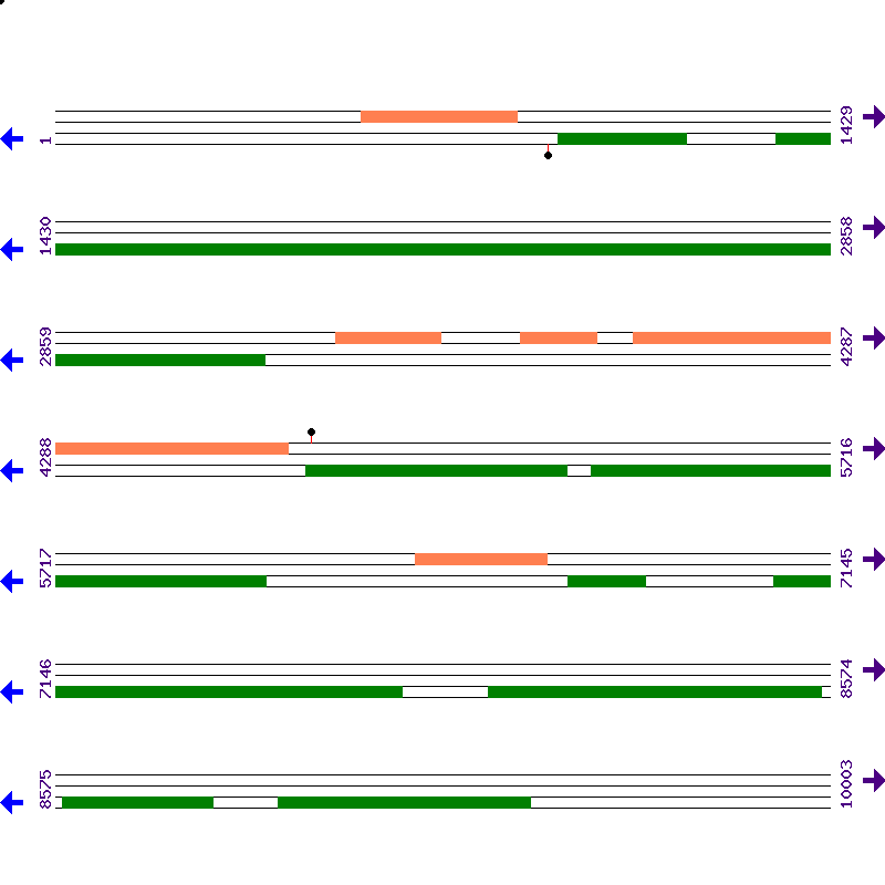Genome View