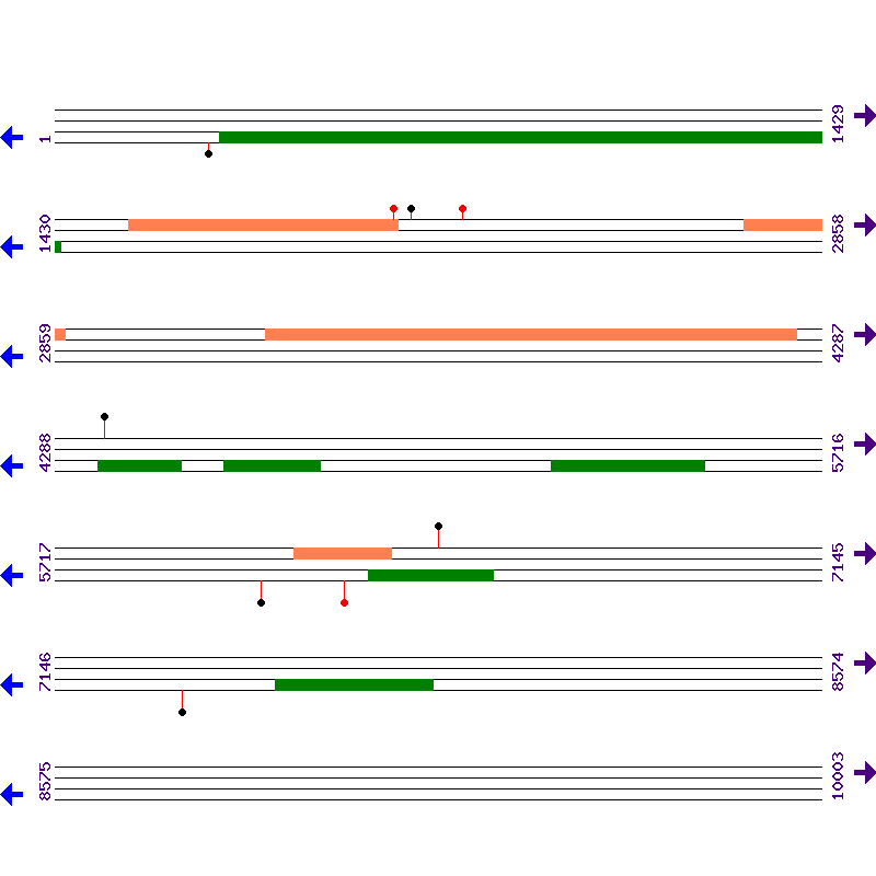 Genome View