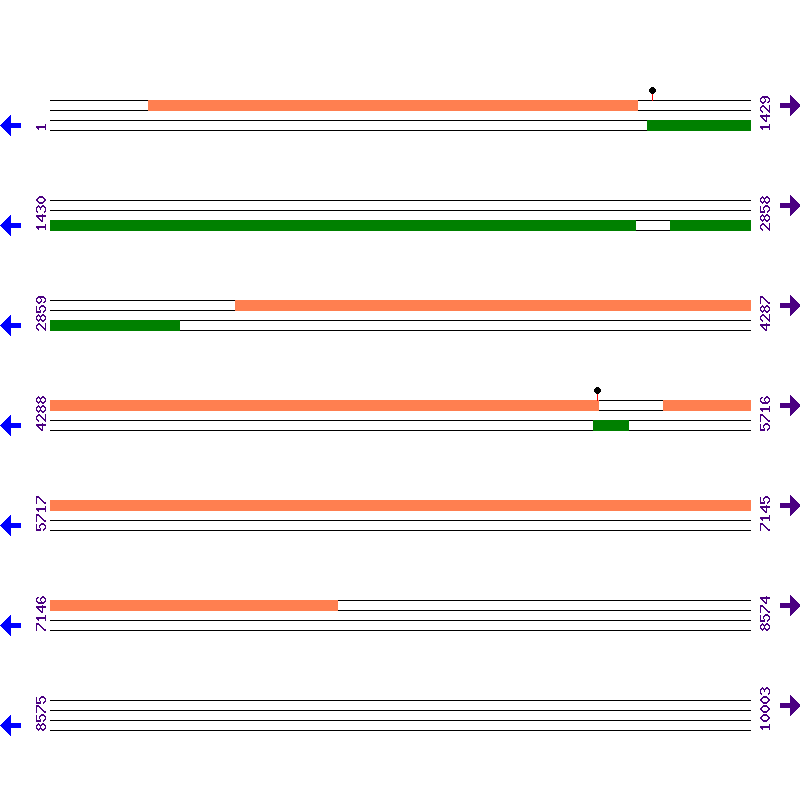 Genome View